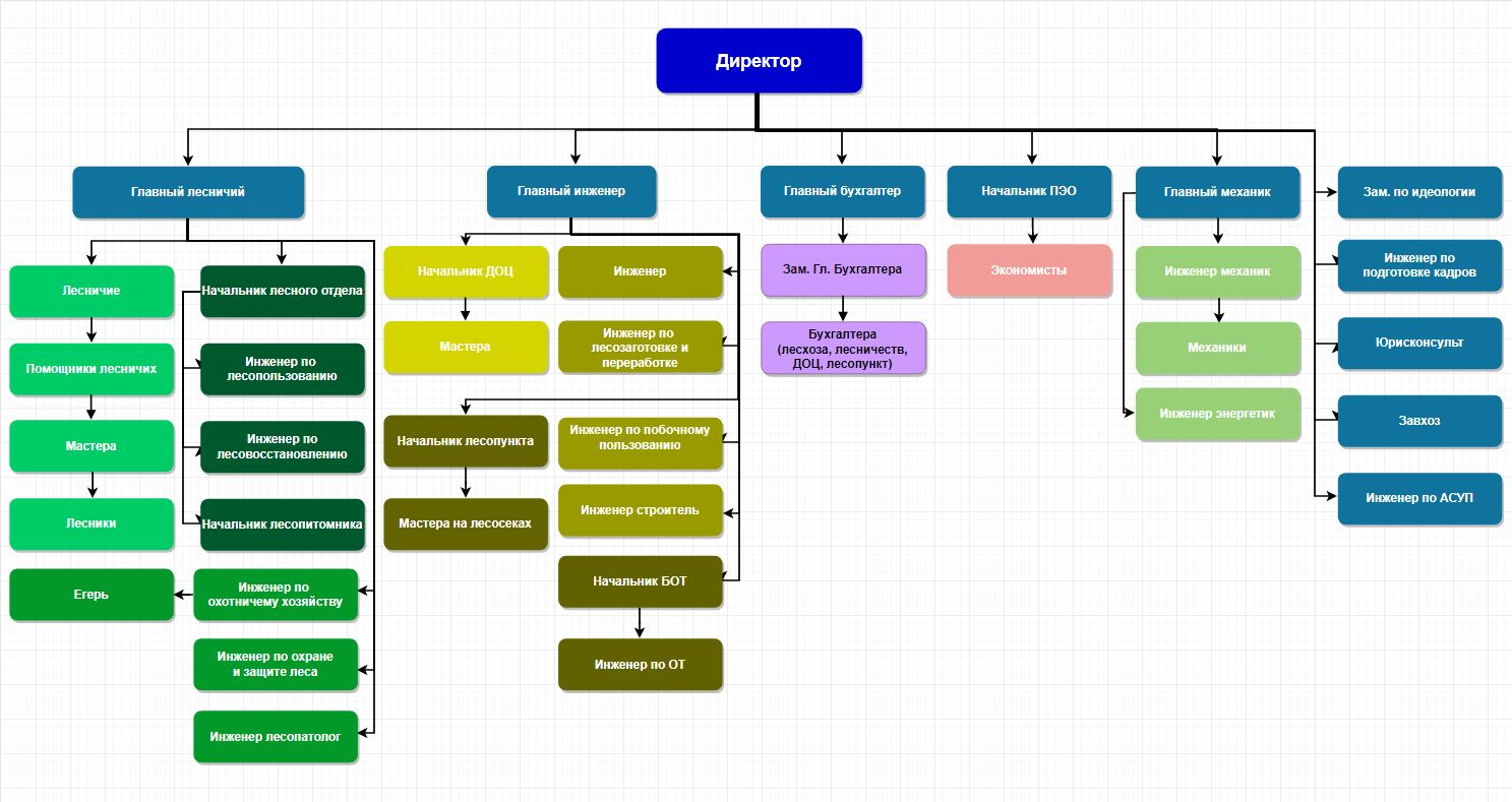 Какие должности в охране. Организационная структура лесного хозяйства. Производственная структура лесхоза.